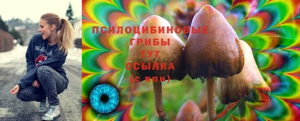 метадон Заволжск