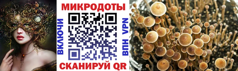 Галлюциногенные грибы Cubensis  Купить где  Называевск 